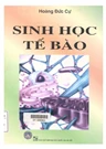 Book's cover